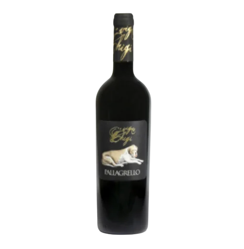 Vigne Chigi Pallagrello Nero Terre Del Volturno IGP 2022