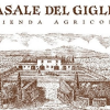 Casale del Giglio Chardonnay Bianco Lazio IGT 2021 - immagine 2