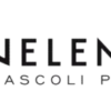 Velenosi Vini di Ascoli Piceno " Quercia Antica" Lacrima di Morro d'Alba DOC 2021 - immagine 2