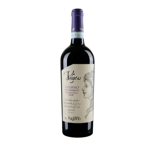 Fattoria Pagano Falerno del Massico ' Voluptas ' Falerno del Massico Primitivo DOP 2021