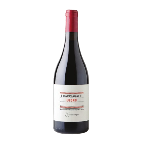 I Cacciagalli Vini di Roccamonfina ' Lucno ' Piedirosso BIO Roccamonfina IGT 2021 Affinamento in Anfora