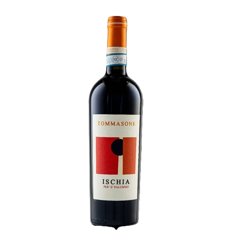 Tommasone Viticoltori sull'isola d'Ischia dal 1870 " Per' e' Palùmmo " Ischia Rosso DOC 2024 Piedirosso
