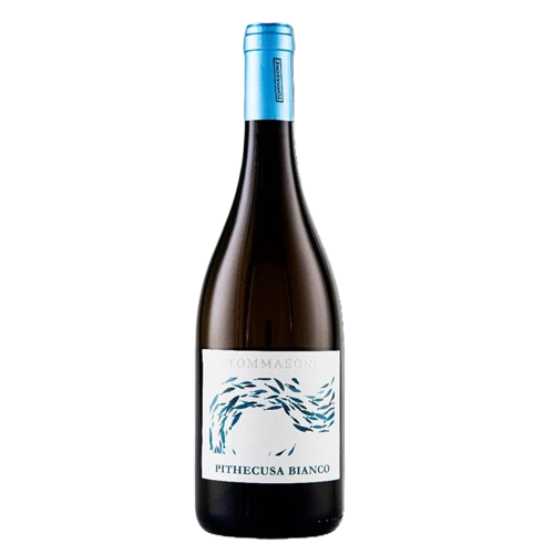 Tommasone Viticoltori sull’isola d’Ischia dal 1870 ” Pithecusa” Campania Bianco IGP 2025 Biancolella Fiano