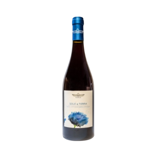 Cantina Horus Vittoria " Sole e Terra " Nero D'Avola Vittoria DOC 2020 Bio